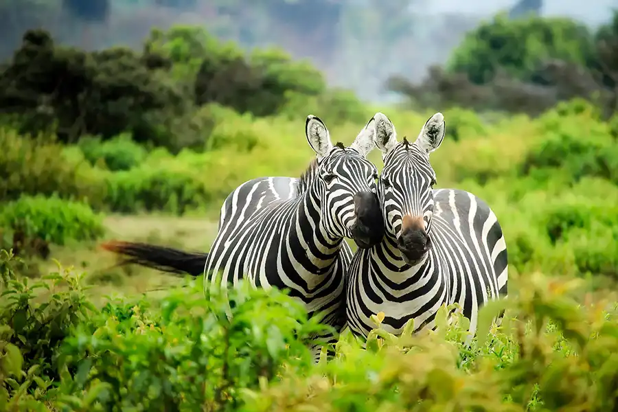 Kenya, Africa