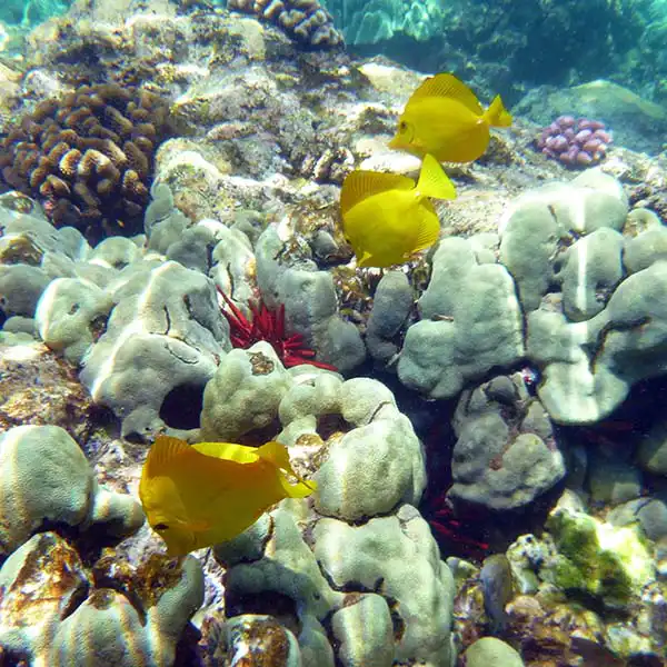 Maui, Hawaii